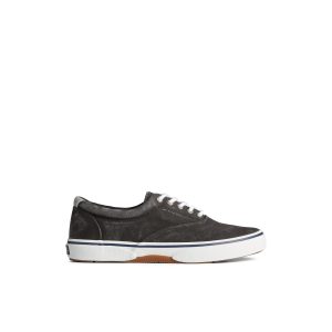 Halyardcvost Black Men's Sneakers