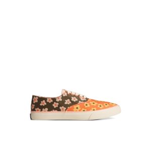 Unisex CVO Sneaker Brown Primary Multi - 2
